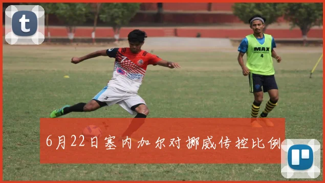 6月22日塞内加尔对挪威传控比例