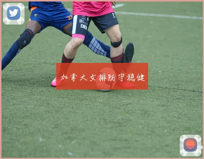 必赢体育滚球入口 - 加拿大女排防守稳健