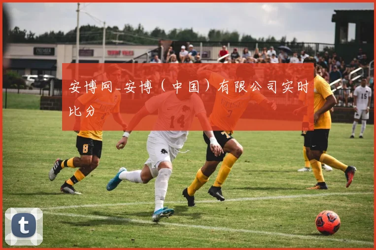 必赢体育滚球入口 - 安博网_安博（中国）有限公司实时比分