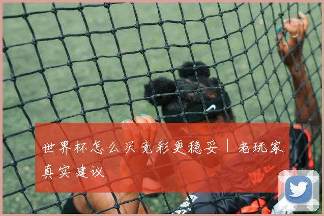 必赢体育滚球入口 - 世界杯怎么买竞彩更稳妥｜老玩家真实建议