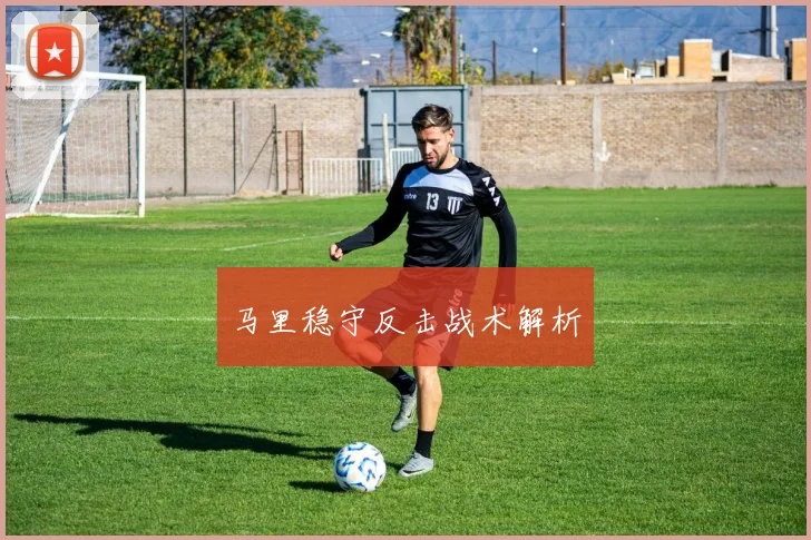 必赢体育滚球入口 - 马里稳守反击战术解析
