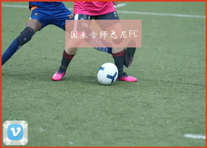 必赢体育滚球入口 - 国米会师悉尼FC