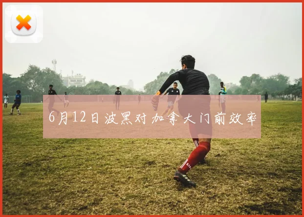 6月12日波黑对加拿大门前效率