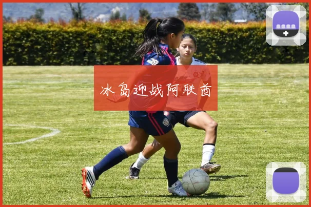 必赢体育滚球入口 - 冰岛迎战阿联酋