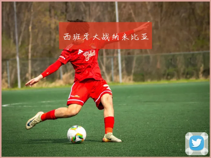 必赢体育滚球入口 - 西班牙大战纳米比亚
