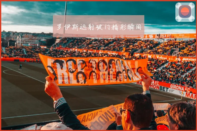 必赢体育滚球入口 - 罗伊斯远射破门精彩瞬间