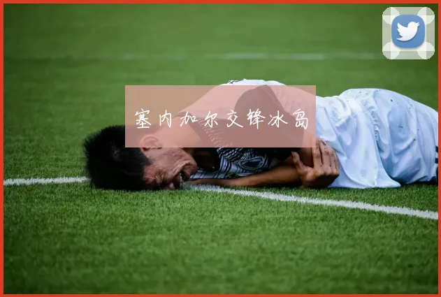 必赢体育滚球入口 - 塞内加尔交锋冰岛