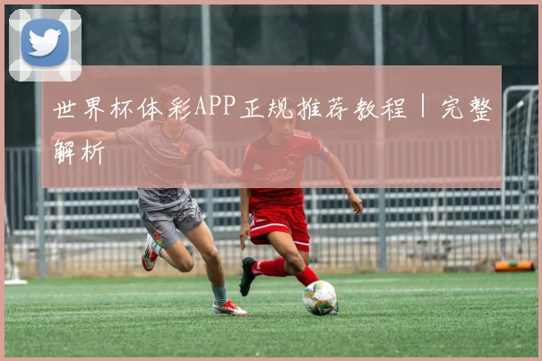 必赢体育滚球入口 - 世界杯体彩APP正规推荐教程｜完整解析