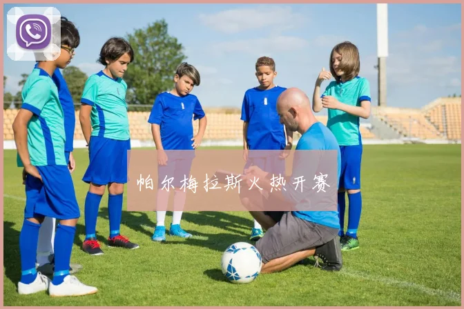 必赢体育滚球入口 - 帕尔梅拉斯火热开赛