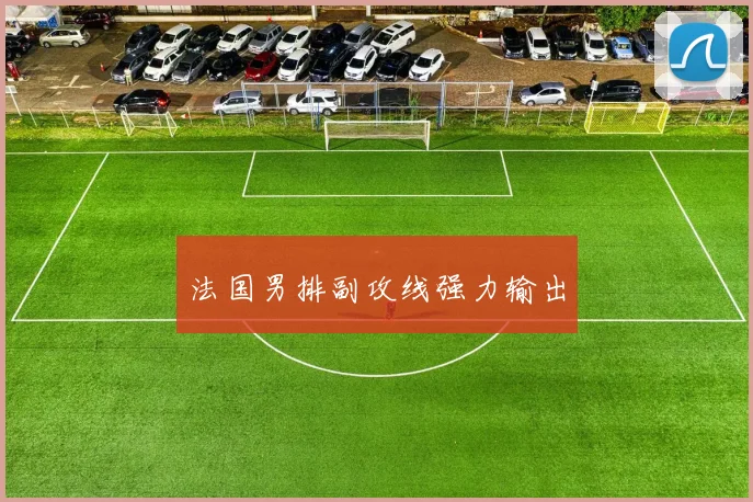 必赢体育滚球入口 - 法国男排副攻线强力输出