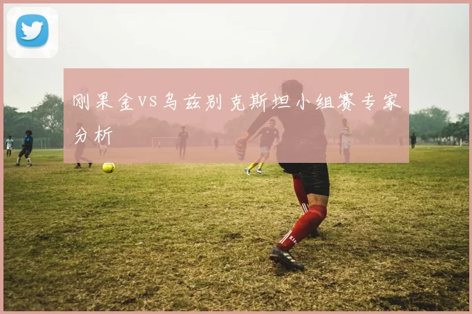 刚果金vs乌兹别克斯坦小组赛专家分析