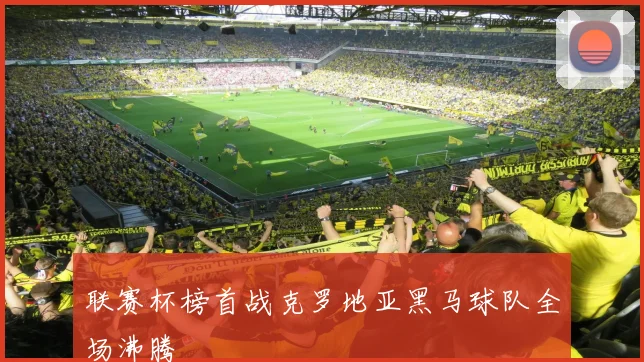 联赛杯榜首战克罗地亚黑马球队全场沸腾
