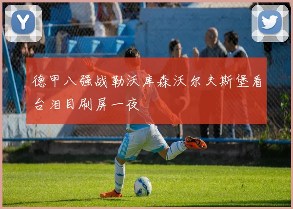 德甲八强战勒沃库森沃尔夫斯堡看台泪目刷屏一夜